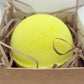 Sunshine Bath Bomb