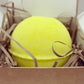 Sunshine Bath Bomb